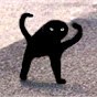 el Cato Avatar