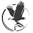 cEQFzf3jXuQ-channel-avatar-Hawkesy Fishing