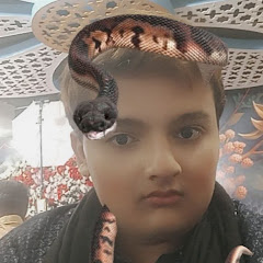 Hassan Nawab