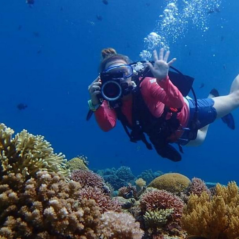 Christy the Diver