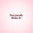 -DKz8qtZtZ0-channel-avatar-BURGUNDY BLISS TV