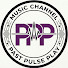 8kwqwvpKBPQ-channel-avatar-Past Pulse Play