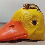 アヒルとたしなむ遊戯