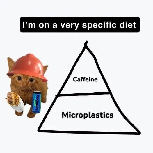 Post from Meme Tube