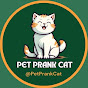 Pet Prank Cat logo