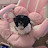 @Gummy_M