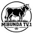 HKn1gdE4ok0-channel-avatar-MIBUNDA TV1