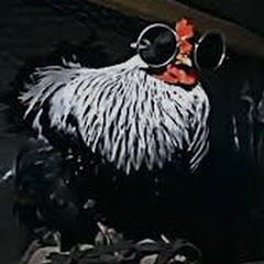 GALLO
