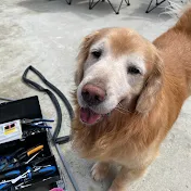 100日後に死んでしまうかもしれない愛犬との日記