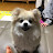 @제로스88