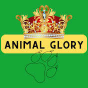 Animal Glory