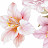 @dinad5247
