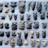 ORRHwt5THb0-channel-avatar-Field Archaeology 101