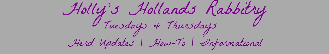 Holly's Hollands Rabbitry رمز قناة اليوتيوب