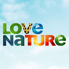 Love Nature avatar