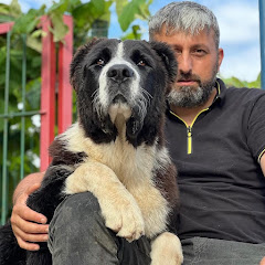Recep Bayraktar