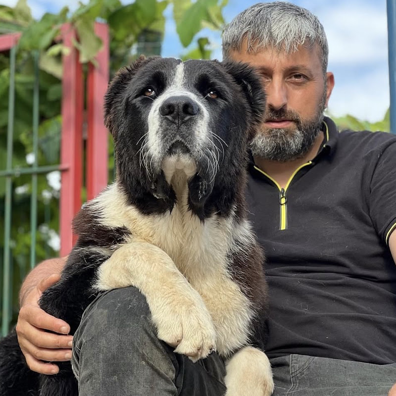 Recep Bayraktar