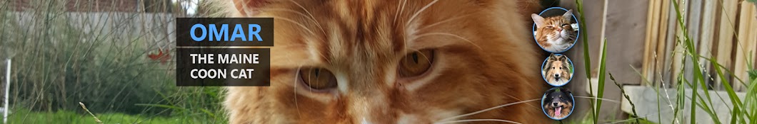 Omar the Maine Coon Cat Avatar de canal de YouTube