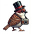 meRgPs81gEk-channel-avatar-꽉 파라치