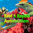 Reef & Reptile Automation
