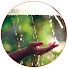 BnnPbxSVeX4-channel-avatar-Nature sounds