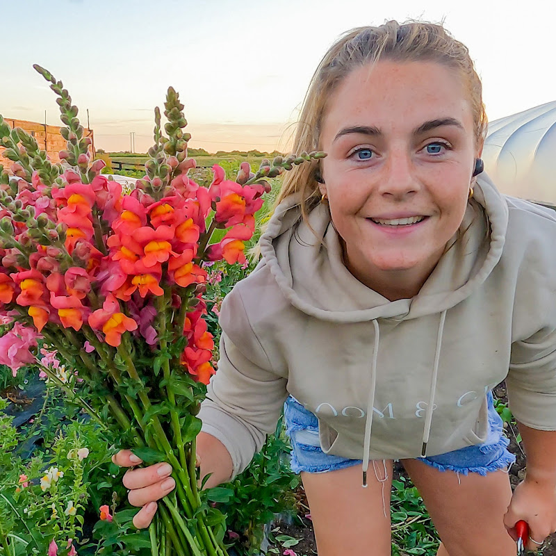 Bloom & Gray - Flower Farm Logo