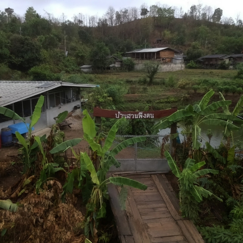 บ้านสวนพึ่งตน