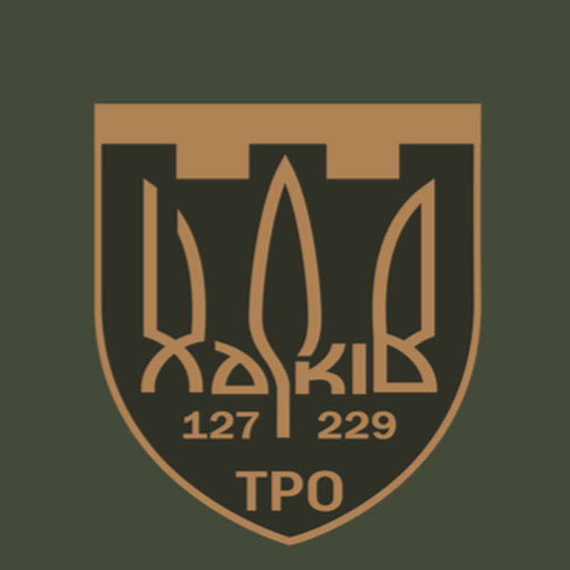 229 Окремий батальйон 127 Обр ТрО ЗСУ