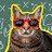 Gato Matemático