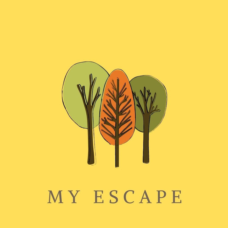 My Escape POV