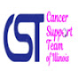 CSTTRANSFORM logo