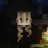 gNs6dt1z5tc-channel-avatar-Little Cozy Cottage
