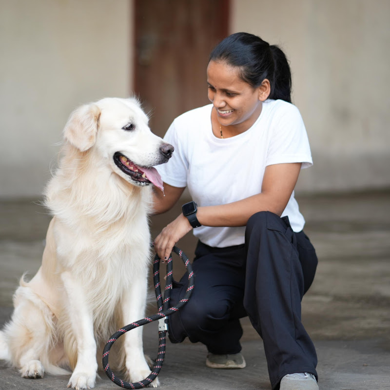 Pet boarding by sonu
