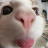 @Anna-qk7id's avatar