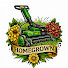 qWnPzOlKsVs-channel-avatar-Homegrown How To