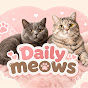 Daily Meows