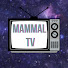 CBy6B7tir2A-channel-avatar-Mammal TV