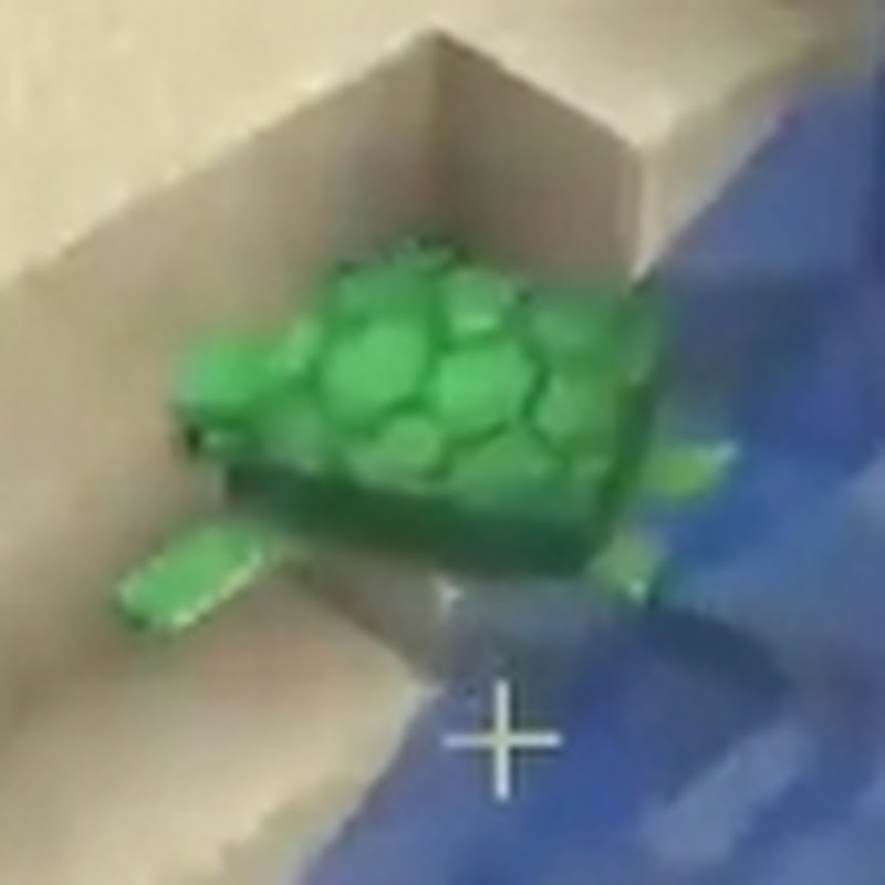 JustATurtle