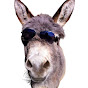 Celeb Donkey