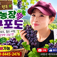 수현농장 🍇백구포도🍇재배함 