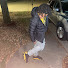 WVWaTKEYdZg-channel-avatar-REALDEALQ 