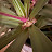 @MayLor-ml81