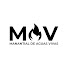XObrLR_0GEQ-channel-avatar-Ministerio Manantial de Aguas Vivas