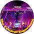 V01UAw7MHbg-channel-avatar-TheFestivalExperience