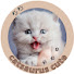 iUU_qznpUoI-channel-avatar-Catsaurus cute