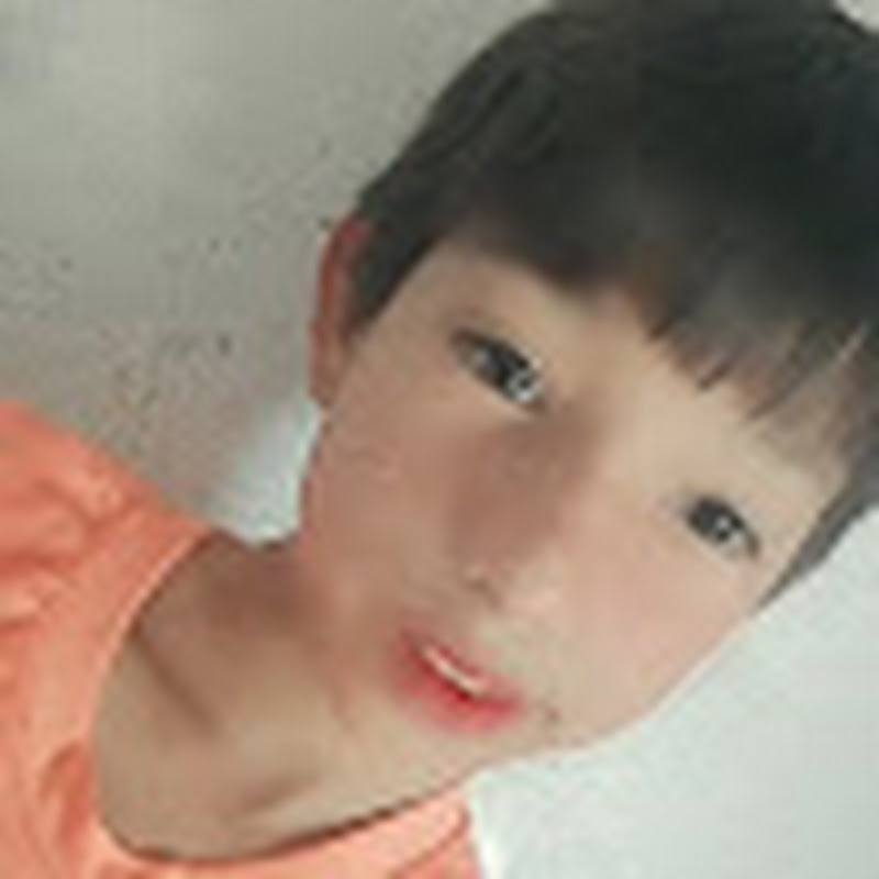 라이언