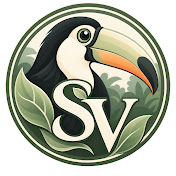 Selva Viva | Aves y Lluvia
