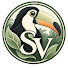 7hc1zTOZTxQ-channel-avatar-Selva Viva | Aves y Lluvia