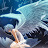 @reilolarga995's avatar