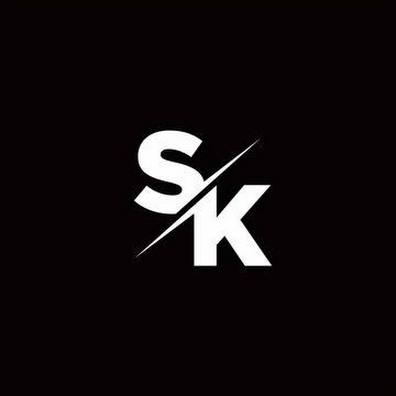 s. k. vlogs